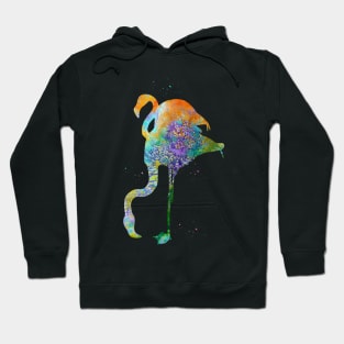 Flamingo Hoodie